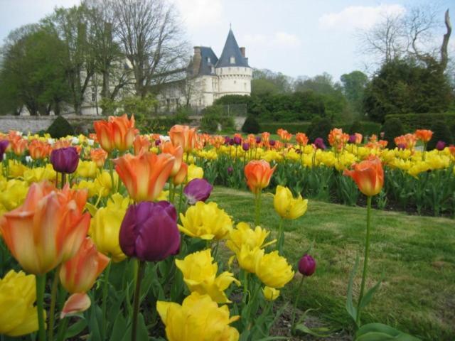 Le Refuge De Normandie Avec Spa Et Cheminee Mesnieres-en-Bray Dış mekan fotoğraf